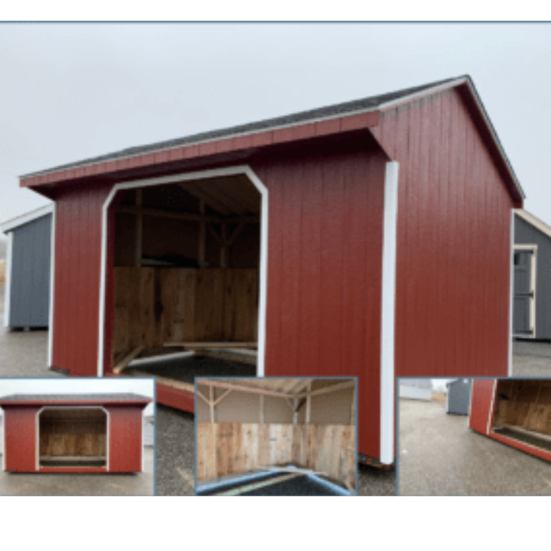 Quaker Run In Shed 10×16  SmartSide Siding